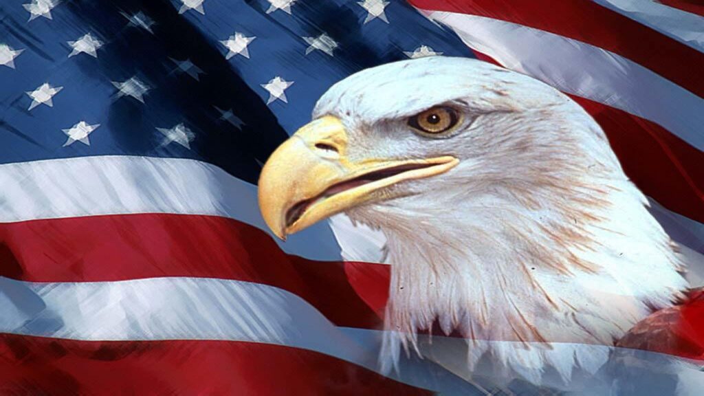 Eagle "1" has Landed American-Flag-Eagle  