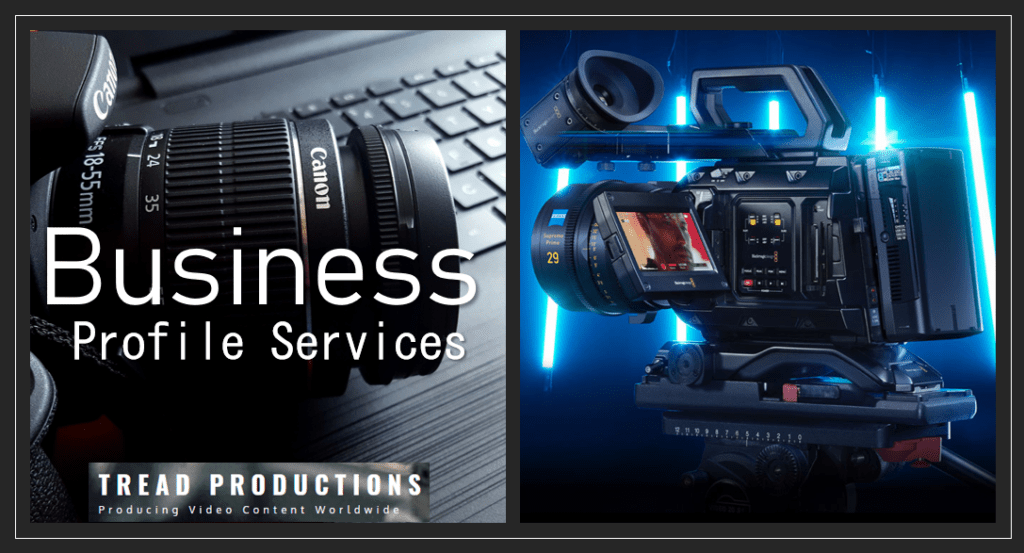 Business Profile Services PROFILE-SERVICE  