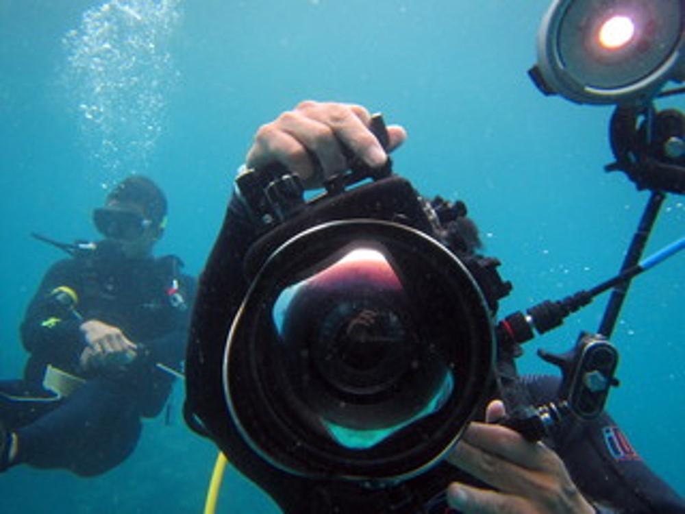 underwater photography underwater photography  